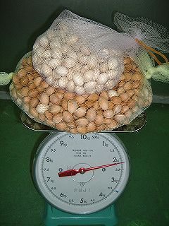 s-2005-01.jpg